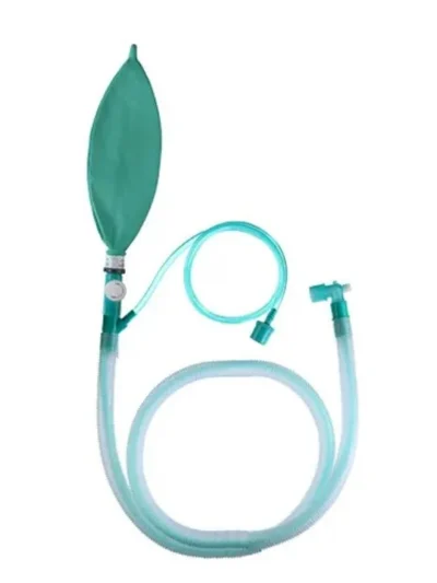 Knse Product Brain Circuit